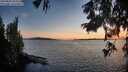 ./images/koeye/fitz-hugh/20250820/fitz-hugh20250820_203507M.jpg