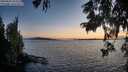 ./images/koeye/fitz-hugh/20250820/fitz-hugh20250820_204509M.jpg