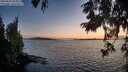 ./images/koeye/fitz-hugh/20250820/fitz-hugh20250820_205010M.jpg