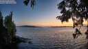 ./images/koeye/fitz-hugh/20250820/fitz-hugh20250820_210009M.jpg