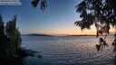 ./images/koeye/fitz-hugh/20250820/fitz-hugh20250820_210509M.jpg