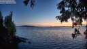./images/koeye/fitz-hugh/20250820/fitz-hugh20250820_211008M.jpg