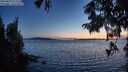 ./images/koeye/fitz-hugh/20250820/fitz-hugh20250820_211509M.jpg