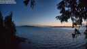 ./images/koeye/fitz-hugh/20250820/fitz-hugh20250820_212512M.jpg