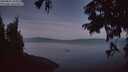 ./images/koeye/fitz-hugh/20250821/fitz-hugh20250821_054509M.jpg