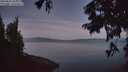 ./images/koeye/fitz-hugh/20250821/fitz-hugh20250821_055009M.jpg