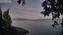 ./images/koeye/fitz-hugh/20250821/fitz-hugh20250821_060011M.jpg