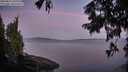 ./images/koeye/fitz-hugh/20250821/fitz-hugh20250821_061010M.jpg