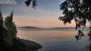 ./images/koeye/fitz-hugh/20250821/fitz-hugh20250821_064011M.jpg