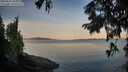 ./images/koeye/fitz-hugh/20250821/fitz-hugh20250821_065011M.jpg