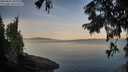 ./images/koeye/fitz-hugh/20250821/fitz-hugh20250821_065511M.jpg