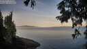 ./images/koeye/fitz-hugh/20250821/fitz-hugh20250821_070011M.jpg