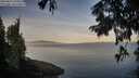 ./images/koeye/fitz-hugh/20250821/fitz-hugh20250821_070509M.jpg