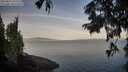 ./images/koeye/fitz-hugh/20250821/fitz-hugh20250821_071511M.jpg