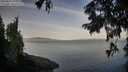 ./images/koeye/fitz-hugh/20250821/fitz-hugh20250821_073011M.jpg