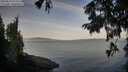./images/koeye/fitz-hugh/20250821/fitz-hugh20250821_073508M.jpg