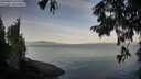 ./images/koeye/fitz-hugh/20250821/fitz-hugh20250821_074011M.jpg