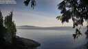 ./images/koeye/fitz-hugh/20250821/fitz-hugh20250821_074510M.jpg