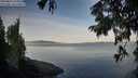 ./images/koeye/fitz-hugh/20250821/fitz-hugh20250821_075011M.jpg