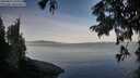 ./images/koeye/fitz-hugh/20250821/fitz-hugh20250821_075510M.jpg