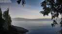./images/koeye/fitz-hugh/20250821/fitz-hugh20250821_080010M.jpg