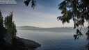 ./images/koeye/fitz-hugh/20250821/fitz-hugh20250821_080510M.jpg