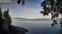 ./images/koeye/fitz-hugh/20250821/fitz-hugh20250821_081009M.jpg