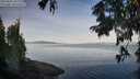 ./images/koeye/fitz-hugh/20250821/fitz-hugh20250821_081511M.jpg