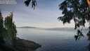 ./images/koeye/fitz-hugh/20250821/fitz-hugh20250821_082012M.jpg