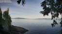 ./images/koeye/fitz-hugh/20250821/fitz-hugh20250821_083012M.jpg