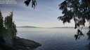 ./images/koeye/fitz-hugh/20250821/fitz-hugh20250821_083510M.jpg