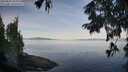 ./images/koeye/fitz-hugh/20250821/fitz-hugh20250821_084011M.jpg