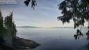 ./images/koeye/fitz-hugh/20250821/fitz-hugh20250821_084511M.jpg