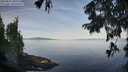 ./images/koeye/fitz-hugh/20250821/fitz-hugh20250821_085011M.jpg