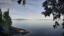 ./images/koeye/fitz-hugh/20250821/fitz-hugh20250821_085509M.jpg