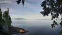 ./images/koeye/fitz-hugh/20250821/fitz-hugh20250821_090012M.jpg