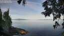 ./images/koeye/fitz-hugh/20250821/fitz-hugh20250821_090510M.jpg
