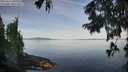 ./images/koeye/fitz-hugh/20250821/fitz-hugh20250821_091010M.jpg