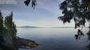 ./images/koeye/fitz-hugh/20250821/fitz-hugh20250821_091511M.jpg