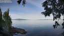 ./images/koeye/fitz-hugh/20250821/fitz-hugh20250821_092512M.jpg