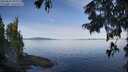 ./images/koeye/fitz-hugh/20250821/fitz-hugh20250821_093509M.jpg