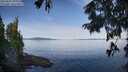 ./images/koeye/fitz-hugh/20250821/fitz-hugh20250821_094011M.jpg
