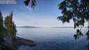 ./images/koeye/fitz-hugh/20250821/fitz-hugh20250821_095510M.jpg
