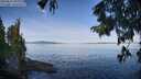 ./images/koeye/fitz-hugh/20250821/fitz-hugh20250821_100012M.jpg