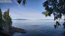 ./images/koeye/fitz-hugh/20250821/fitz-hugh20250821_100509M.jpg