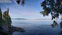 ./images/koeye/fitz-hugh/20250821/fitz-hugh20250821_101010M.jpg