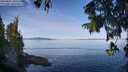 ./images/koeye/fitz-hugh/20250821/fitz-hugh20250821_101511M.jpg