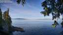 ./images/koeye/fitz-hugh/20250821/fitz-hugh20250821_102011M.jpg