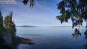 ./images/koeye/fitz-hugh/20250821/fitz-hugh20250821_102514M.jpg