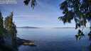 ./images/koeye/fitz-hugh/20250821/fitz-hugh20250821_103011M.jpg